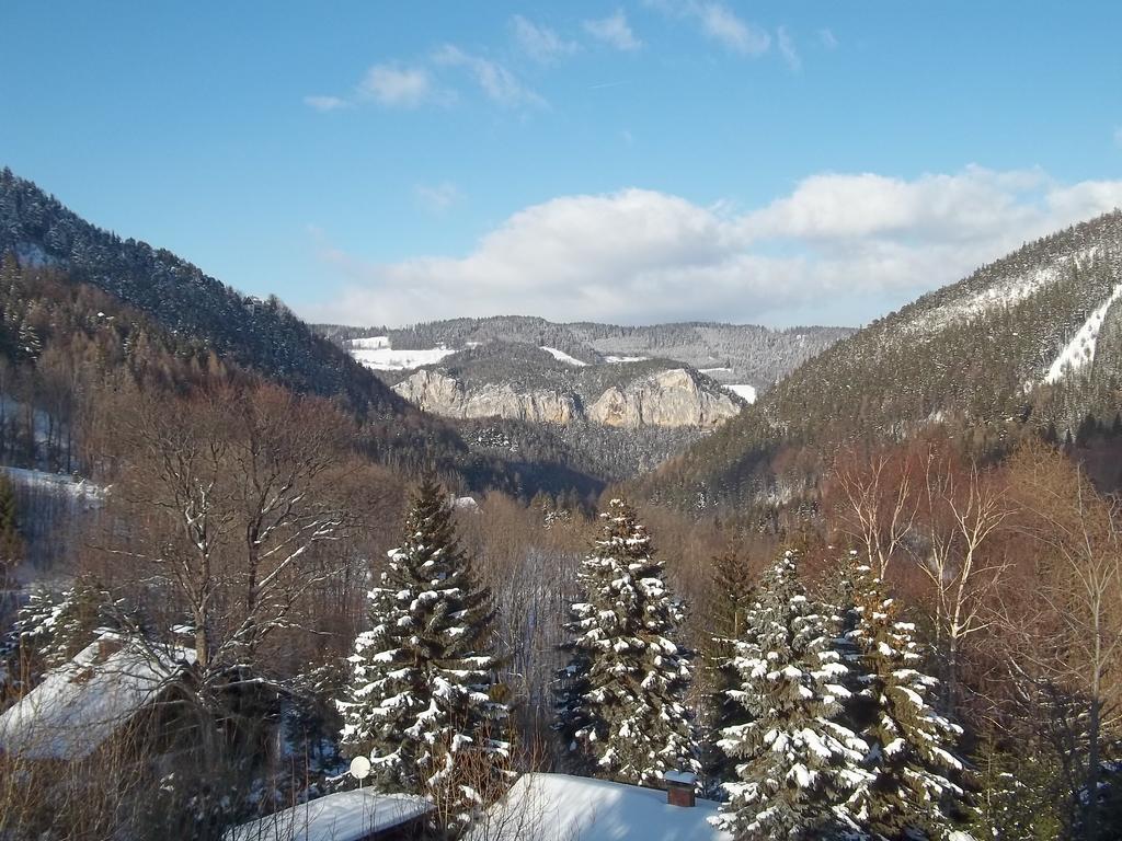 Villa Wellspacher Semmering Exteriér fotografie