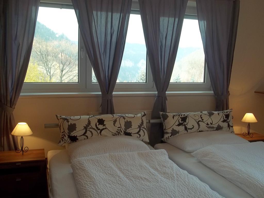 Villa Wellspacher Semmering Pokoj fotografie